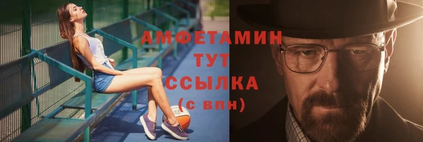 шишки Сосновый Бор