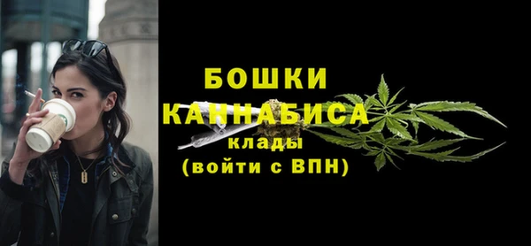 стафф Аркадак