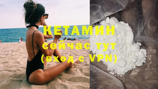 стафф Аркадак