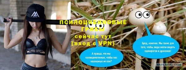 дживик Алексин