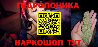 стаф Ярославль