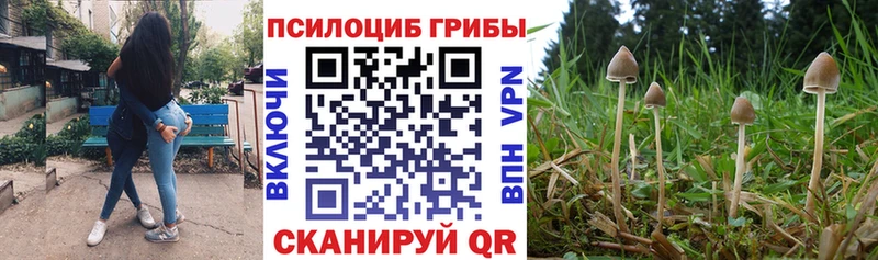 Галлюциногенные грибы Cubensis  hydra как зайти  Верхняя Салда 