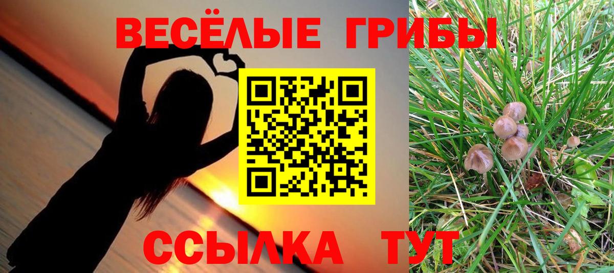 хочу наркоту  Вход с VPN  Верхняя Салда  Галлюциногенные грибы MAGIC MUSHROOMS 